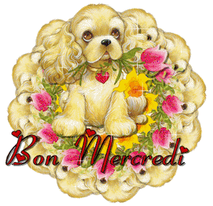 Gif animé Bon mercredi chien